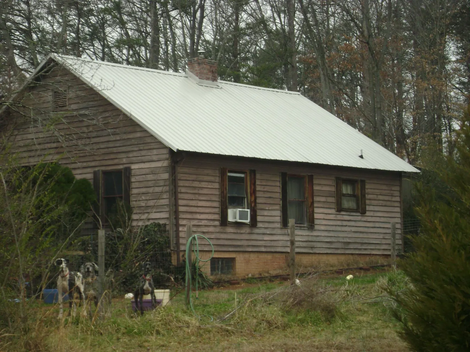 White metal roof on an old wood sided farmhouse, from a Asphalt Shingle Roof Repair job in Sparrows Point